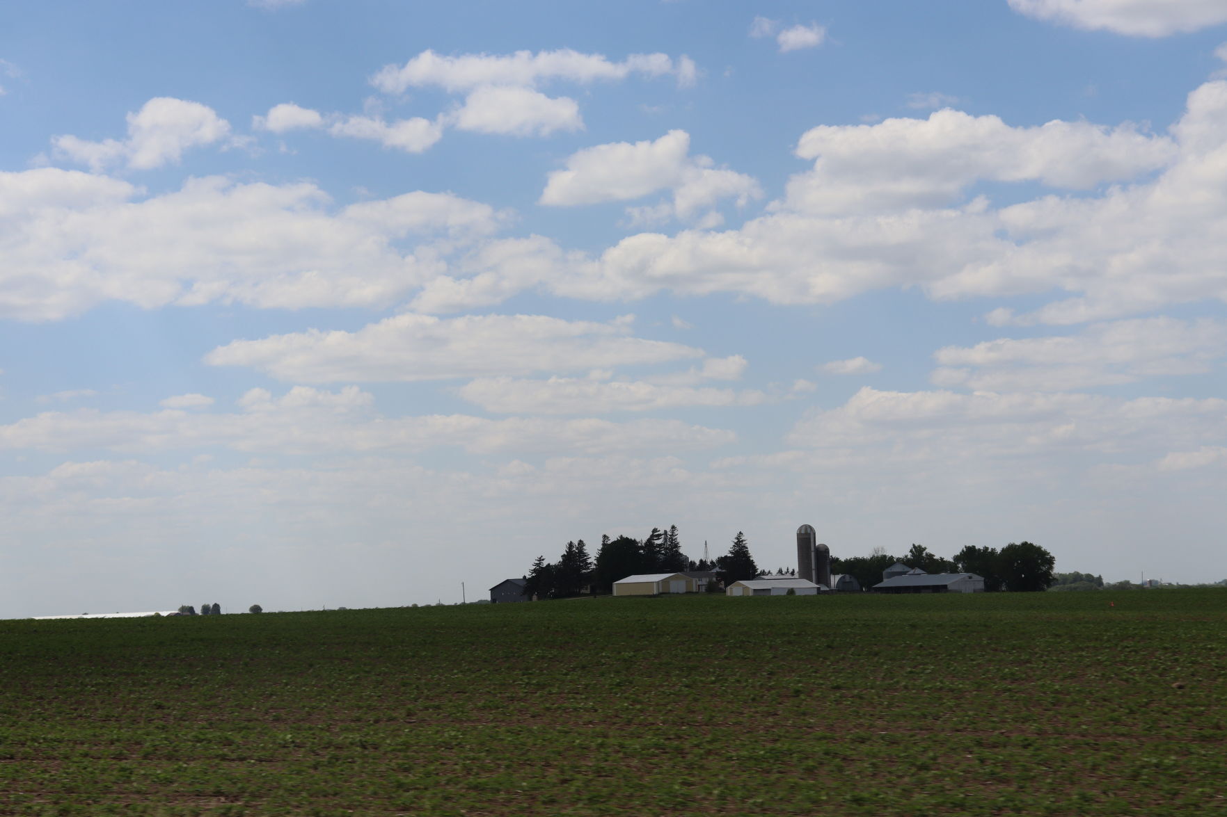 Farm